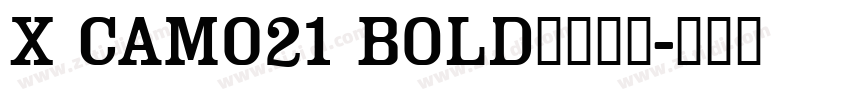 X CAM021 Bold字体下载字体转换